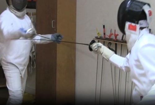 Fencer 3