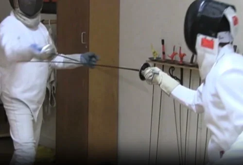 Fencer 3