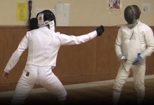 Fencer 3