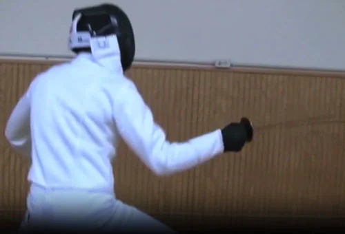 Fencer 3